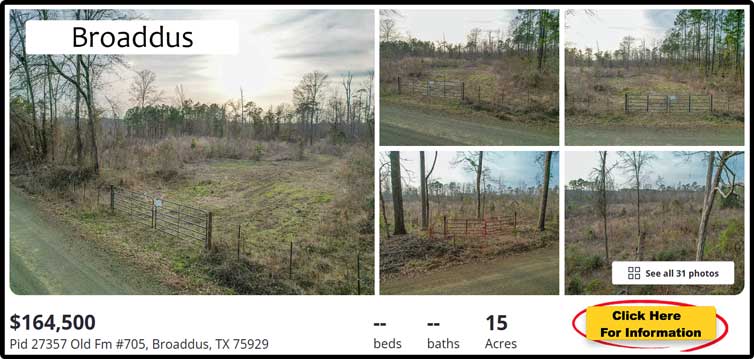 Finley-Website-Graphic